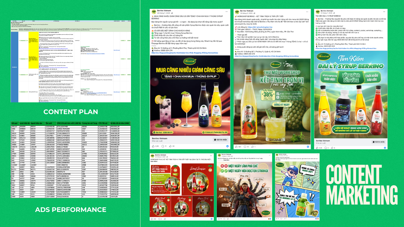 Berrino Social Media Growth